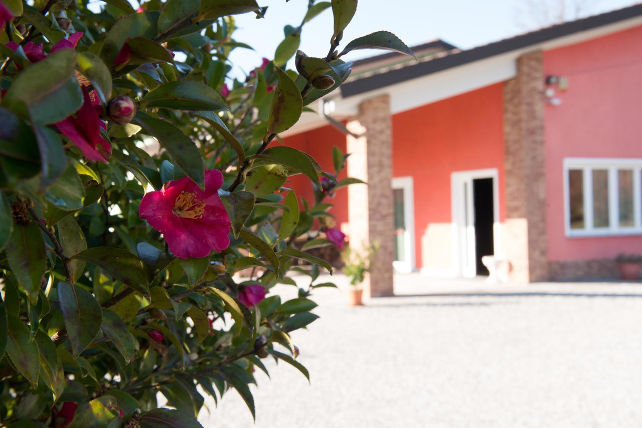 Tenuta La Vigna Malgesso Exteriér fotografie